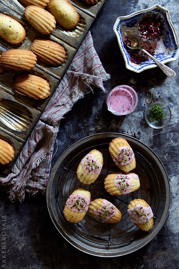 Gourmet Madeleine Cookies Recipe 